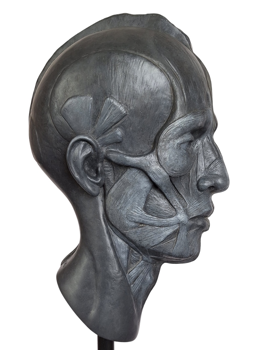 Marie Smith - Adam 2 Jesmonite sculpture